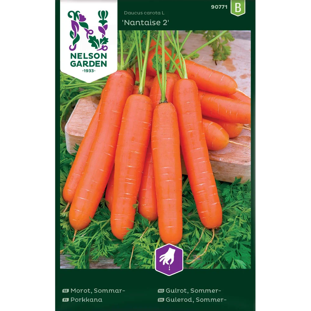 Porsjonsfrø gulrot sommer- nan v:2631511
