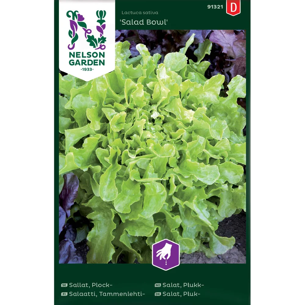 Porsjonsfrø salat plukk saladb v:2121133 Porsjonsfrø salat plukk saladb v:2121133