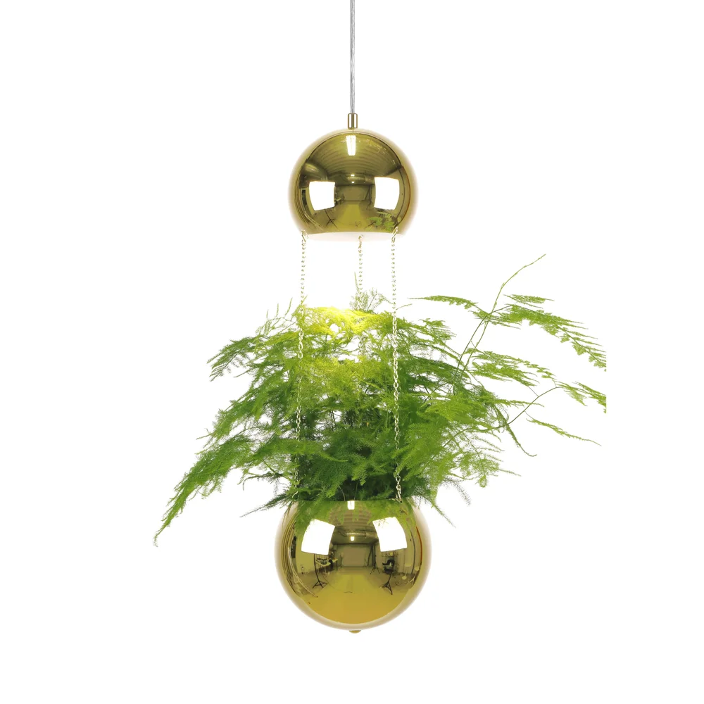 Planter taklampe og planteoppheng v:8498010