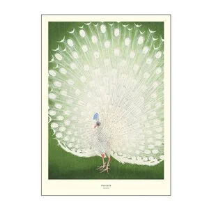 A.P. Atelier poster 50×70 cm peacock v:8584611 A.P. Atelier poster 50×70 cm peacock v:8584611