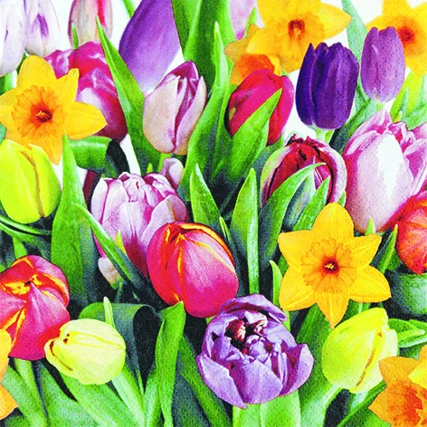Servietter 33x33cm Vårblomster v:9888744